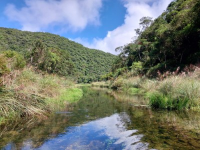 神秘湖出水口  水量逐漸恢復(113年10月)